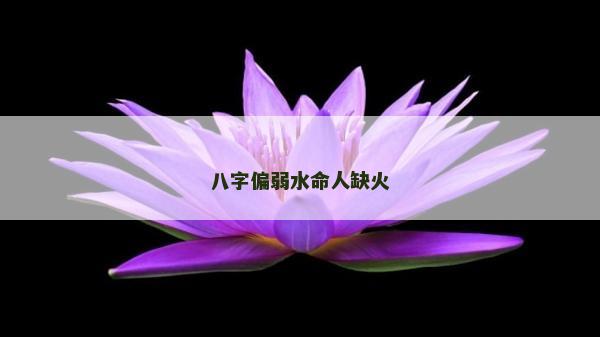 八字偏弱水命人缺火