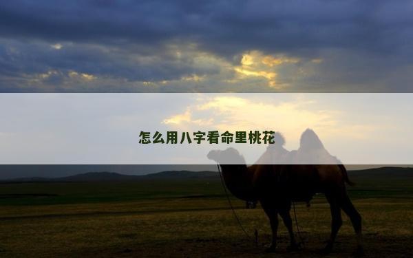 怎么用八字看命里桃花