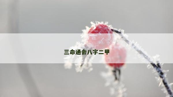 三命通会八字二甲