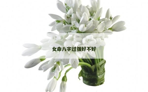 女命八字过强好不好