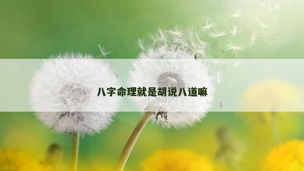 八字命理就是胡说八道嘛