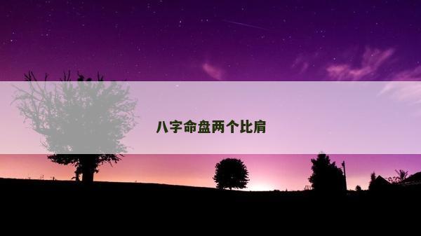 八字命盘两个比肩