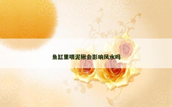 鱼缸里喂泥鳅会影响风水吗