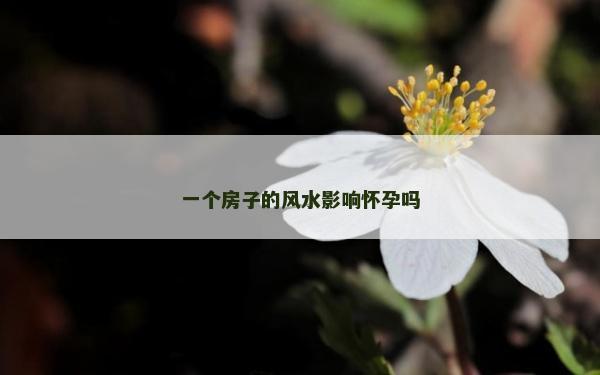 一个房子的风水影响怀孕吗
