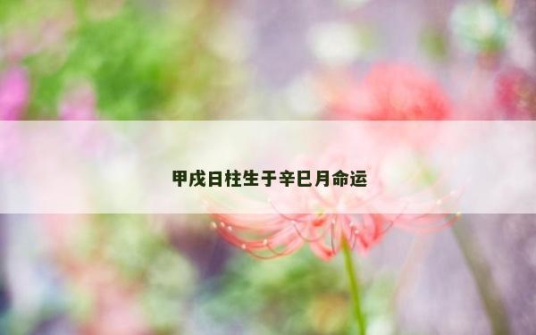 甲戌日柱生于辛巳月命运
