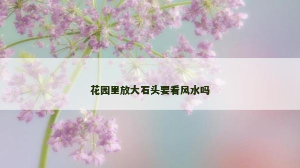花园里放大石头要看风水吗
