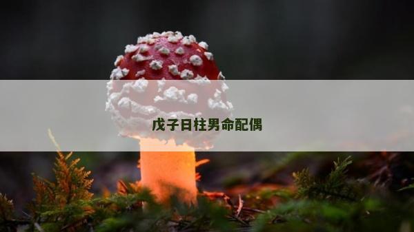 戊子日柱男命配偶