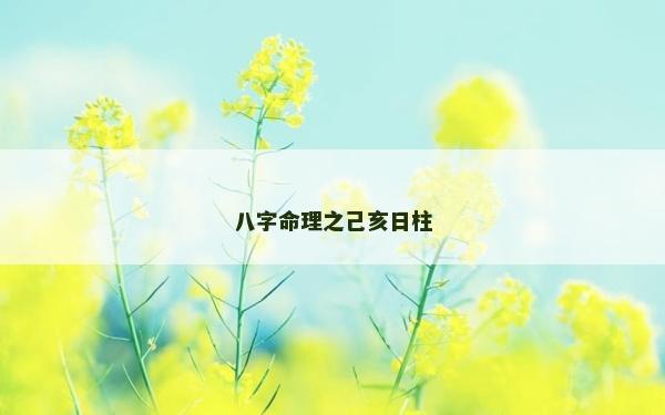 八字命理之己亥日柱