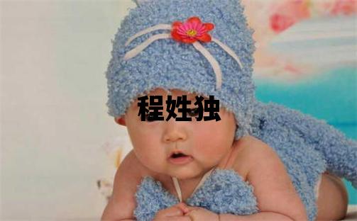 程姓独特优美的男孩名字