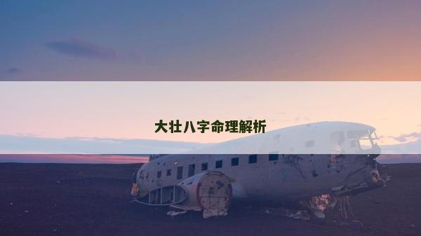 大壮八字命理解析