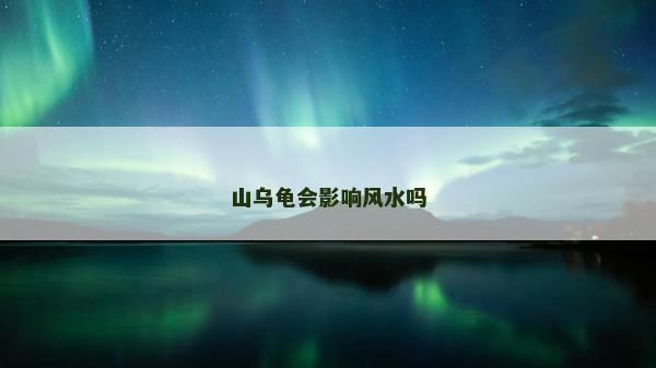 山乌龟会影响风水吗