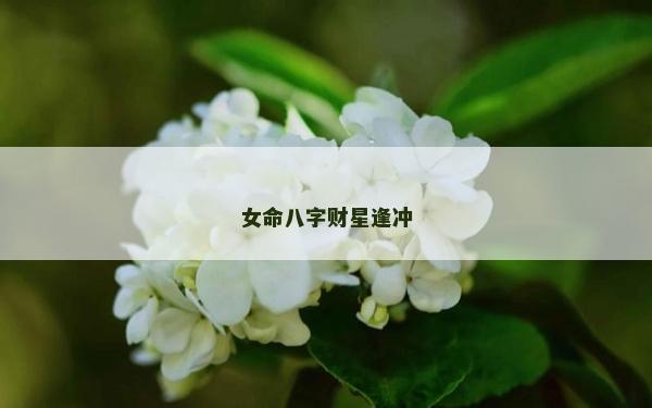 女命八字财星逢冲