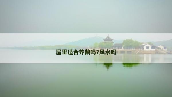 屋里适合养鹅吗?风水吗