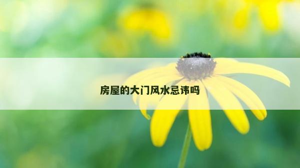 房屋的大门风水忌讳吗