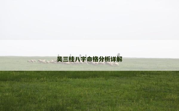 吴三桂八字命格分析详解