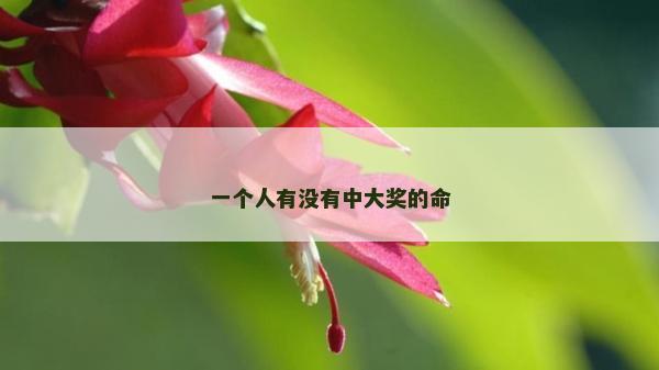 一个人有没有中大奖的命