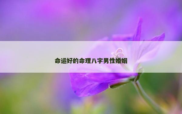 命运好的命理八字男性婚姻