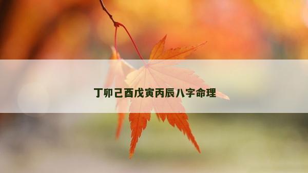 丁卯己酉戊寅丙辰八字命理