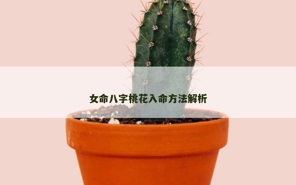 女命八字桃花入命方法解析