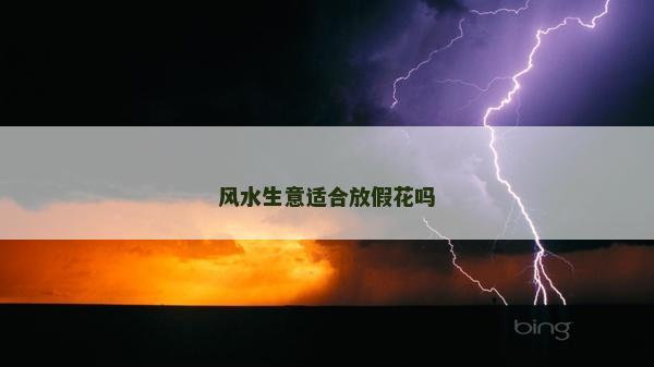 风水生意适合放假花吗