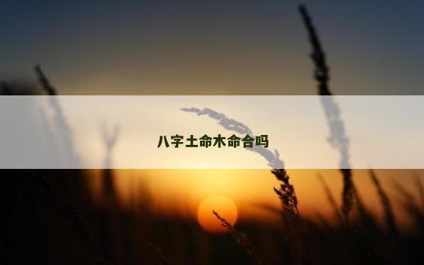 八字土命木命合吗