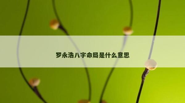 罗永浩八字命局是什么意思