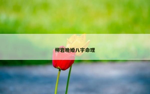柳岩晚婚八字命理