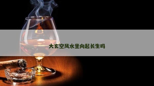 大玄空风水坐向起长生吗