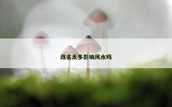 改名太多影响风水吗