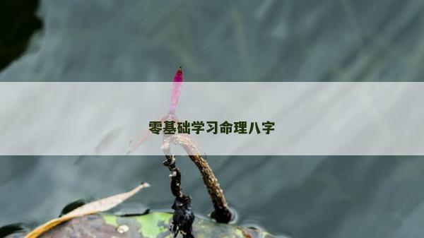 零基础学习命理八字