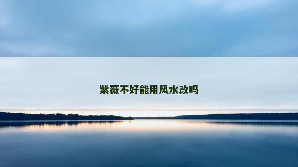 紫薇不好能用风水改吗