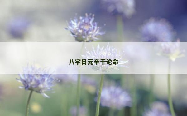 八字日元辛干论命