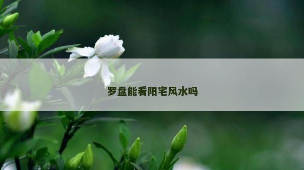 罗盘能看阳宅风水吗