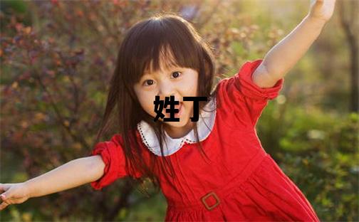 姓丁叫什么名字好 姓丁的男孩有新意的名字