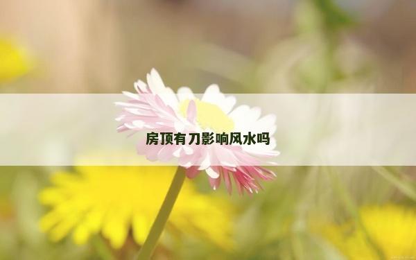 房顶有刀影响风水吗