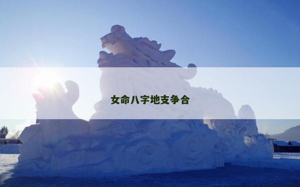 女命八字地支争合