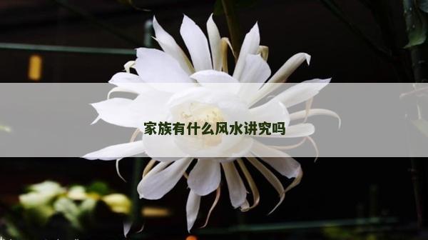 家族有什么风水讲究吗