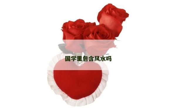 国学里包含风水吗