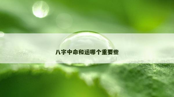 八字中命和运哪个重要些