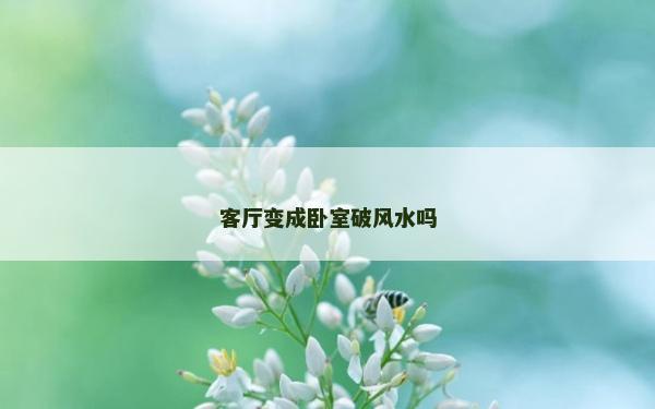 客厅变成卧室破风水吗