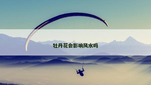 牡丹花会影响风水吗