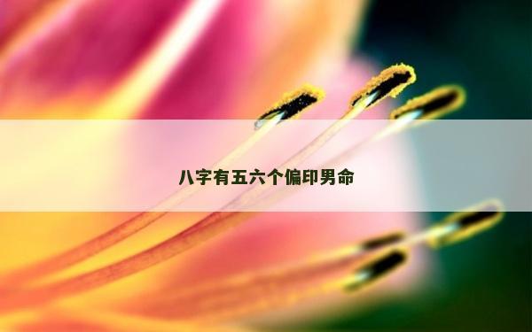 八字有五六个偏印男命