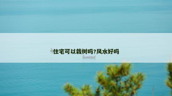 住宅可以栽树吗?风水好吗