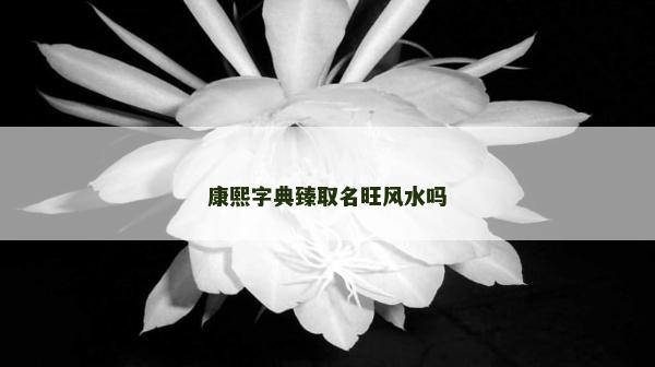 康熙字典臻取名旺风水吗