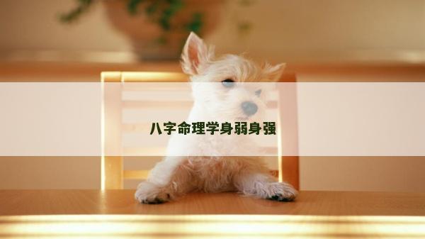八字命理学身弱身强