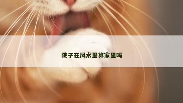 院子在风水里算家里吗