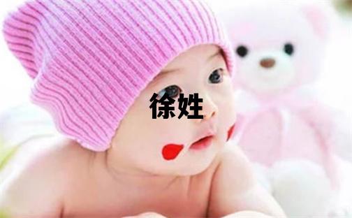 徐姓取名有智慧才气的男宝宝名字