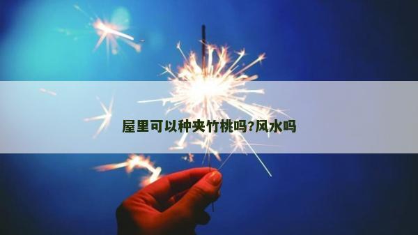 屋里可以种夹竹桃吗?风水吗