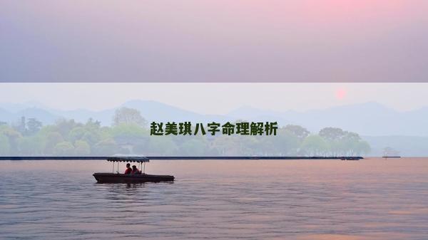赵美琪八字命理解析