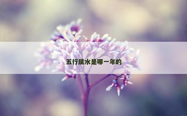 五行属水是哪一年的